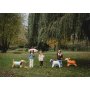Folienballon - Hund \\\"Corgi\\\" - 88 x 70 cm