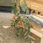 Girlande - Blumen - 1,20 m Girlande - Blumen - 1,20 m