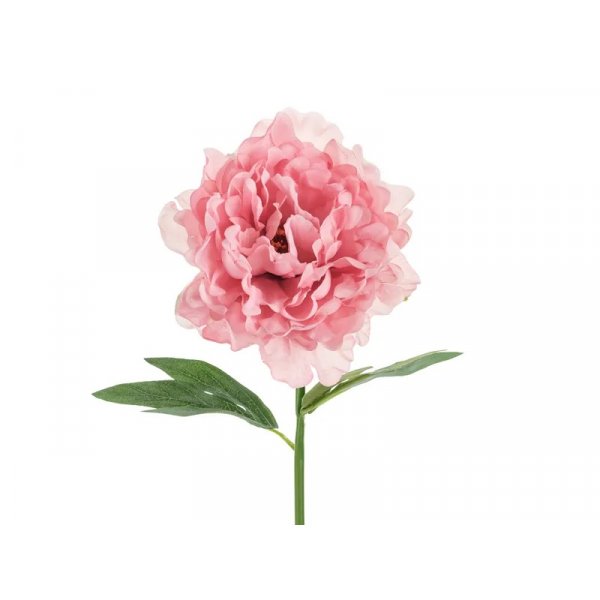 Pfingstrosenblüte - 35 cm - Rosa Pfingstrosenblüte - 35 cm - Rosa