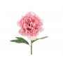Pfingstrosenblüte - 35 cm - Rosa Pfingstrosenblüte - 35 cm - Rosa