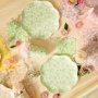 Pappteller - Sommerwiese - 23 cm Durchmesser - 6er-Pack Pappteller - Sommerwiese - 23 cm Durchmesser - 6er-Pack