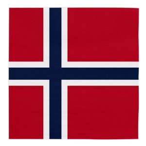 Servietten - Norwegen - 33 x 33 cm - 20er-Packung Servietten - Norwegen - 33 x 33 cm - 20er-Packung