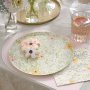 Pappteller - Ditsy Floral - 8er-Pack Pappteller - Ditsy Floral - 8er-Pack