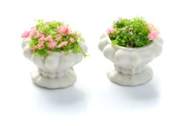 Miniartikel - Topfblumen - 2er-Pack Miniartikel - Topfblumen - 2er-Pack