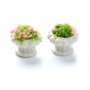 Miniartikel - Topfblumen - 2er-Pack Miniartikel - Topfblumen - 2er-Pack