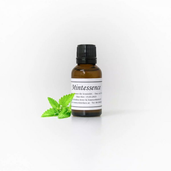 Aroma/Essenz - 25 ml - Minze