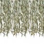 Hintergrund - Grne Bltter - Botanisch