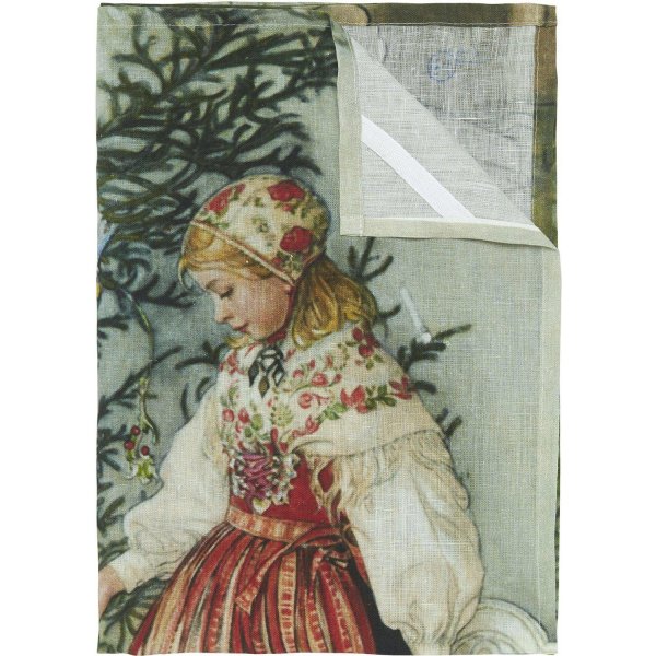 Swaren-Kchentuch 50 x 70 cm - Grn