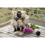 Konfetti-Tüten - Stoff - 4er-Pack Konfetti-Tüten - Stoff - 4er-Pack