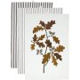 Gaby Kchenhandtuch 3er-Pack 3 x 47 x 70 cm - Dunkles Nougat
