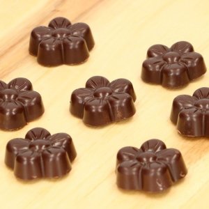 Pralinenformblume - FunCakes Pralinenformblume - FunCakes