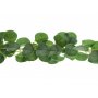 Girlande - Eukalyptus - 180 cm