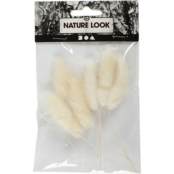 Getrocknetes Gras - Bunny Tails - Mini - 6er-Pack