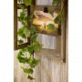 Holzrahmen - Fenster - 48,5x3x78cm
