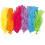 Daunen - gemischte Farben - L: 11-17 cm - 18x3 Stk
