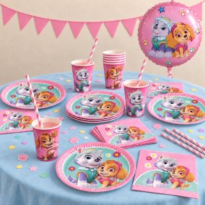 Paw Patrol Party-Paket - Skye & Everest - 8 Personen