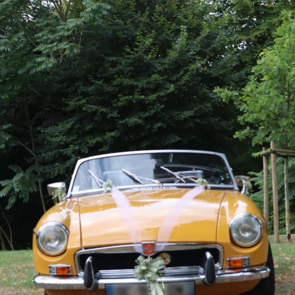Hochzeitsauto-Dekoration - Grün - 6 Stück Hochzeitsauto-Dekoration - Grün - 6 Stück
