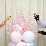 Ballonsule - Offenlegung des Geschlechts