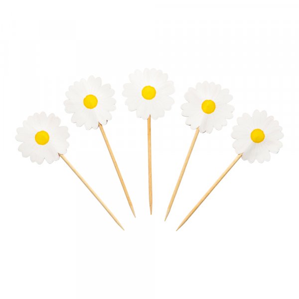 Kuchenspieer - Gnseblmchen - 10 Stk