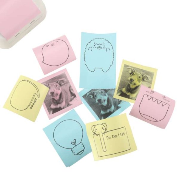 Thermopapierrollen, farbig, 5,7 cm x 3 m, 3er-Pack - BPA-frei Thermopapierrollen, farbig, 5,7 cm x 3 m, 3er-Pack - BPA-frei