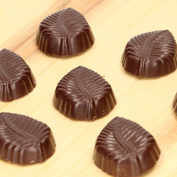 Pralinenformplatte - FunCakes Pralinenformplatte - FunCakes