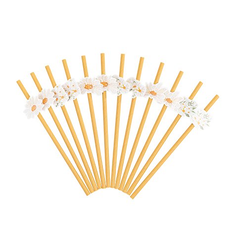 Strohhalme - Blumen - 12er-Packung Strohhalme - Blumen - 12er-Packung
