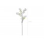 Kirschblüte - 97 cm Kirschblüte - 97 cm