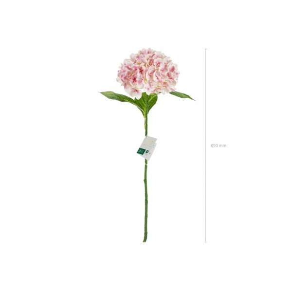 Hortensien - 69 cm - Premium - Hellrosa Hortensien - 69 cm - Premium - Hellrosa