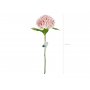 Hortensien - 69 cm - Premium - Hellrosa Hortensien - 69 cm - Premium - Hellrosa