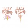 Kuchenspieer - Baby in Bloom - 12er-Pack