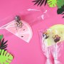 Cake-Pop-T�ten - 25 cm - 25er-Packung - PME