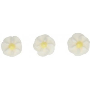 Zuckerblumen - Kleine Gänseblümchen Zuckerblumen - Kleine Gänseblümchen