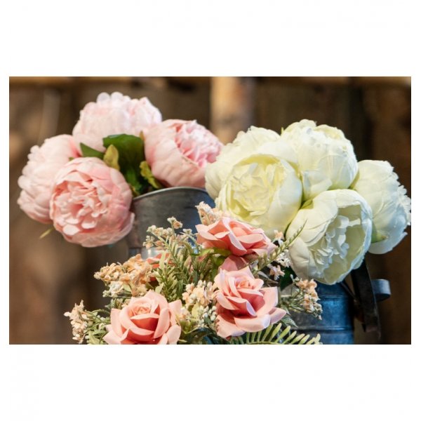 Pfingstrosen - 6er-Pack - Rosa Pfingstrosen - 6er-Pack - Rosa