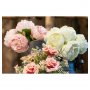 Pfingstrosen - 6er-Pack - Rosa Pfingstrosen - 6er-Pack - Rosa