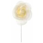 Rosen - Elfenbein - 4er-Pack