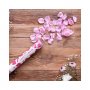Konfettikanone mit Rosenblättern, rosa Konfettikanone mit Rosenblättern, rosa
