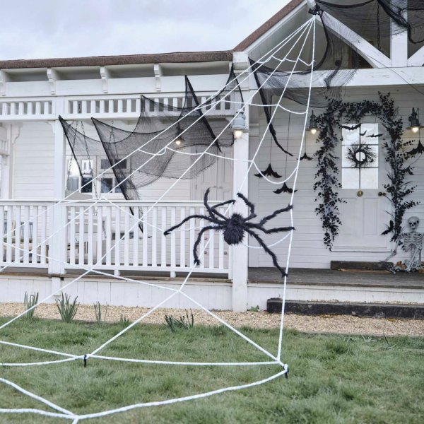 Großes Spinnennetz - Mit Spinne Großes Spinnennetz - Mit Spinne