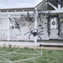 Großes Spinnennetz - Mit Spinne Großes Spinnennetz - Mit Spinne