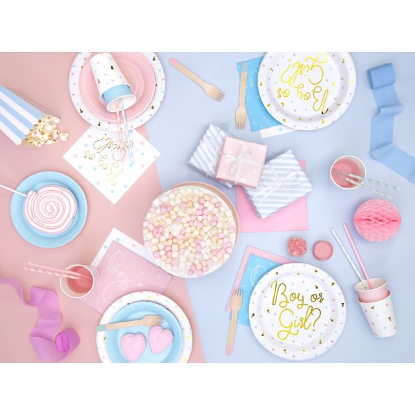 Pappteller - Junge oder Mädchen? - 6 Pack Pappteller - Junge oder Mädchen? - 6 Pack