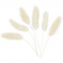Getrocknetes Gras - Bunny Tails - Mini - 6er-Pack