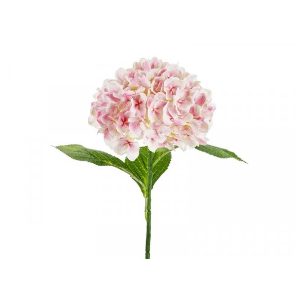 Hortensien - 69 cm - Premium - Hellrosa Hortensien - 69 cm - Premium - Hellrosa