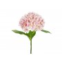 Hortensien - 69 cm - Premium - Hellrosa Hortensien - 69 cm - Premium - Hellrosa