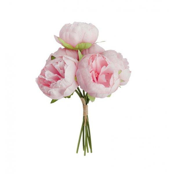 Pfingstrosen - 6er-Pack - Rosa Pfingstrosen - 6er-Pack - Rosa