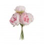 Pfingstrosen - 6er-Pack - Rosa Pfingstrosen - 6er-Pack - Rosa