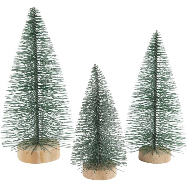 Tannenbäume - 3er-Pack - 10-14 cm Tannenbäume - 3er-Pack - 10-14 cm