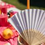 Sonnenfedern - Mehrfarbig - 24er-Packung Sonnenfedern - Mehrfarbig - 24er-Packung