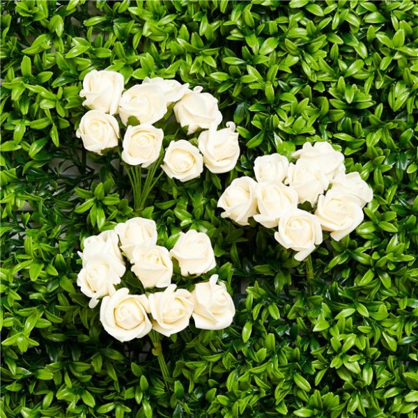 Rosen - Klein - Cremeweiß - 8er-Pack Rosen - Klein - Cremeweiß - 8er-Pack