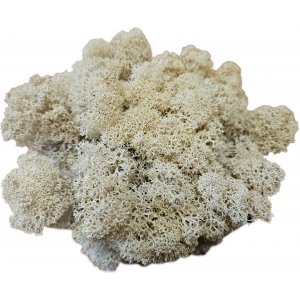 Weißes Moos - Dekoration - Großer Beutel - 100 g Weißes Moos - Dekoration - Großer Beutel - 100 g