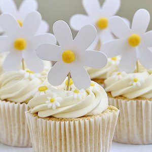 Kuchenspießer - Gänseblümchen - 12 Stk Kuchenspießer - Gänseblümchen - 12 Stk