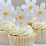 Kuchenspießer - Gänseblümchen - 12 Stk Kuchenspießer - Gänseblümchen - 12 Stk